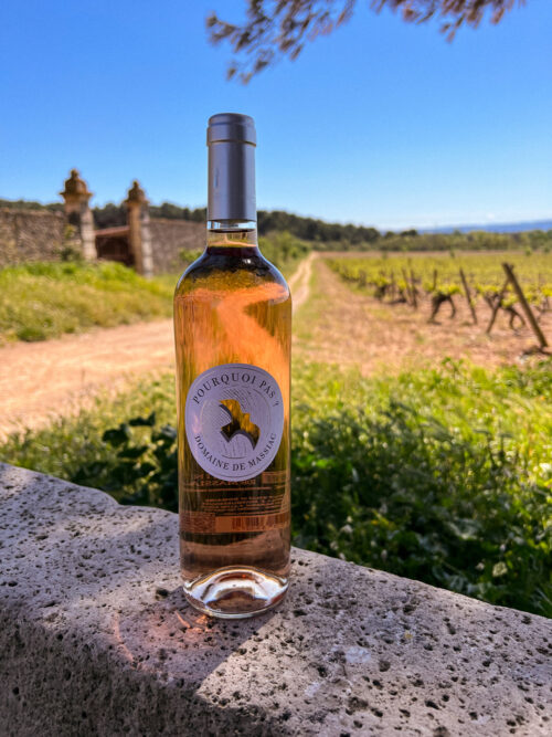 "Pourquoi pas ?" Rosé